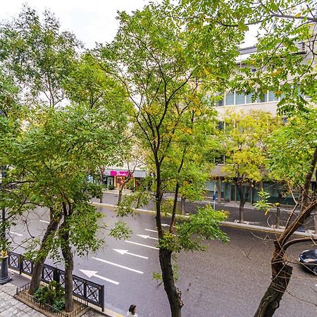 Vip Apartamen Nizami Street Lejlighed Baku Eksteriør billede
